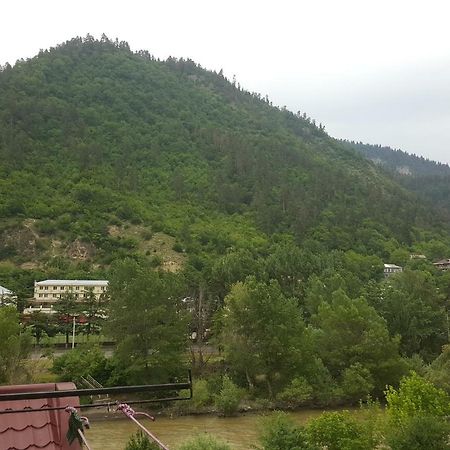 Karlsson Borjomi Apartment. Ngoại thất bức ảnh